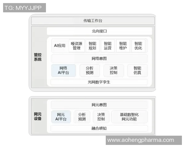 体育实时数据北京排球队快攻体系解析与战术运用探讨