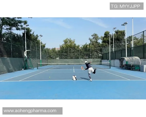 体育实时数据网球新手必看力量训练入门指南助你快速提升击球能力